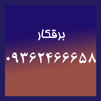 برقکار قیطریه